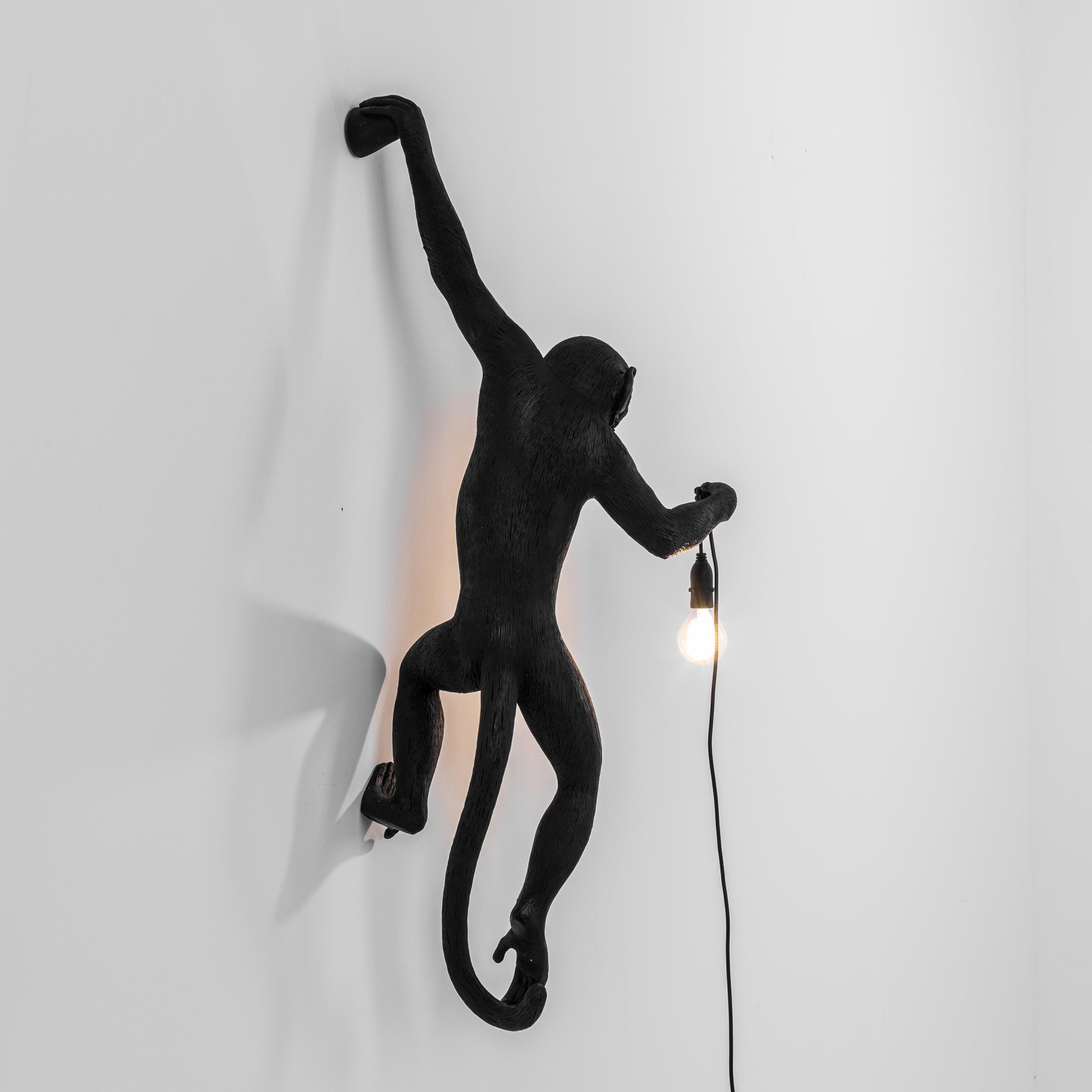 Seletti Monkey Outdoor Lampresin Hanging