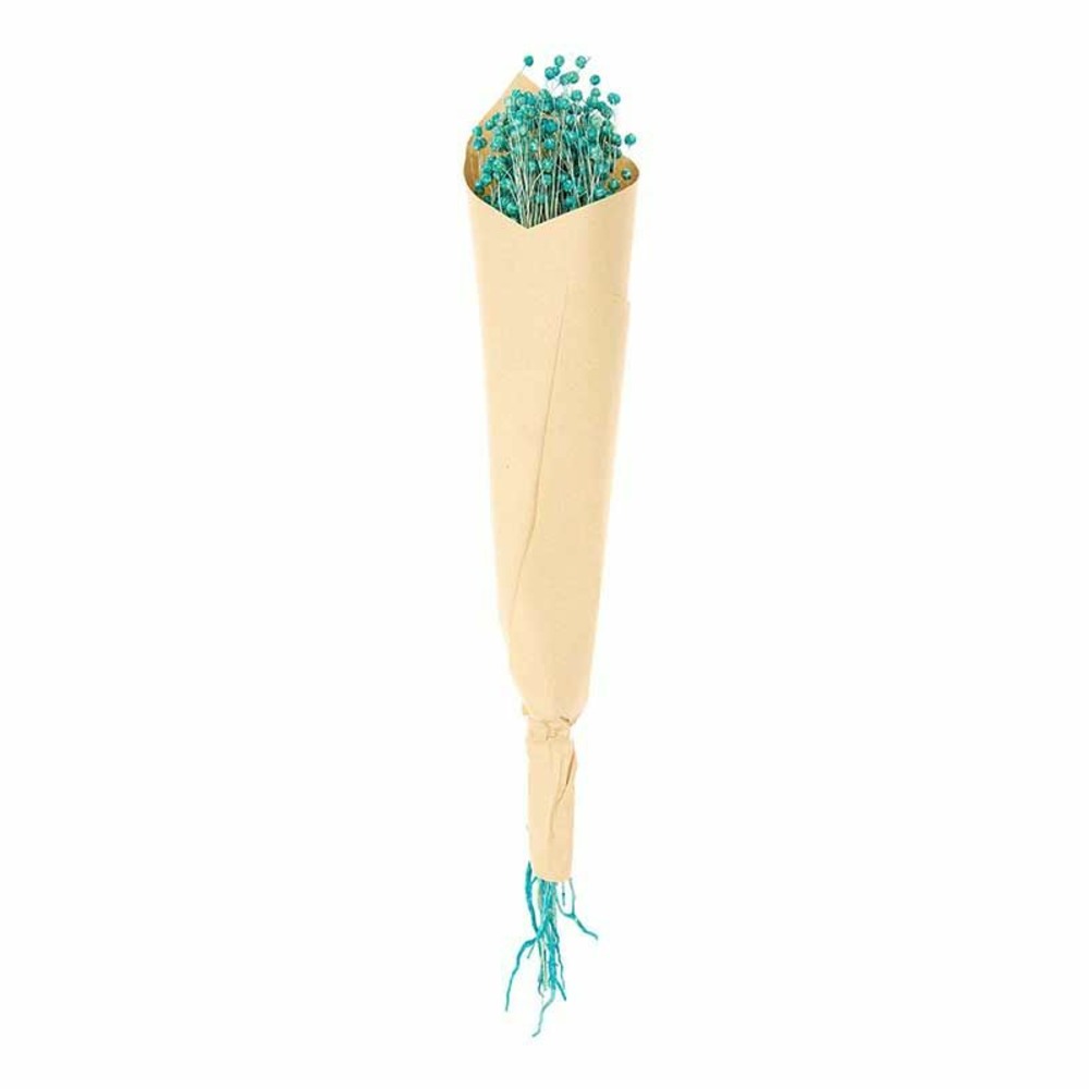 Lins séchés turquoise - 70 cm
