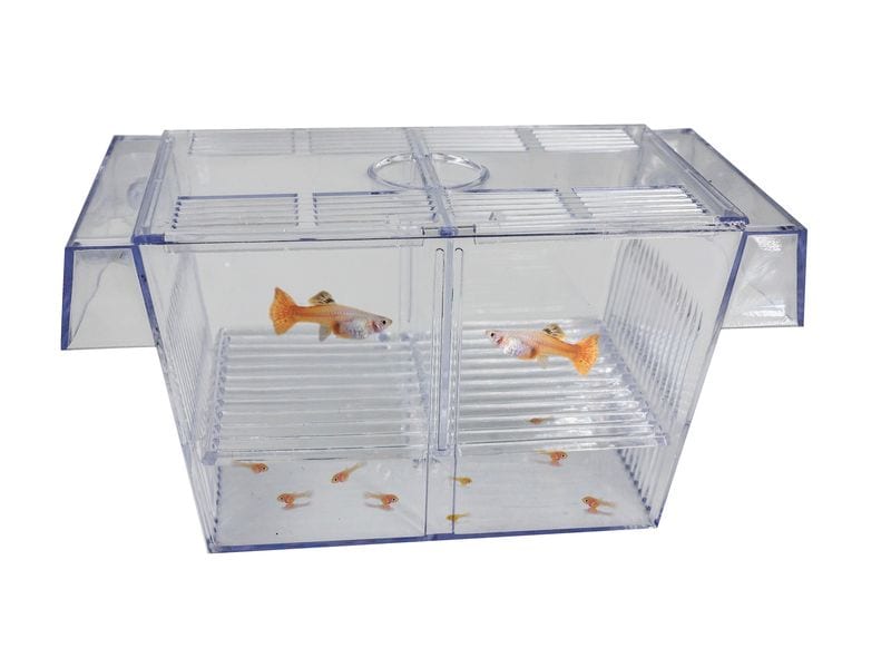 SuperFish Schwimmendes Aufzuchtbecken Schwimmender Aufzuchtkasten für das Aquarium