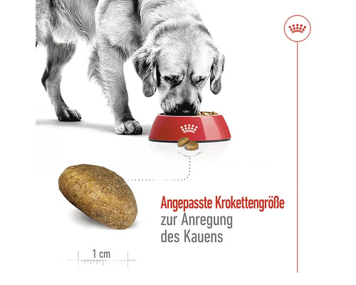 ROYAL CANIN Maxi Adult droog hondenvoer 15 kg