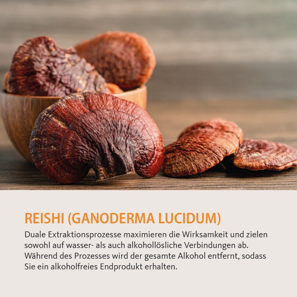 Vitalpilze Reishi Tropfen ohne Alkohol