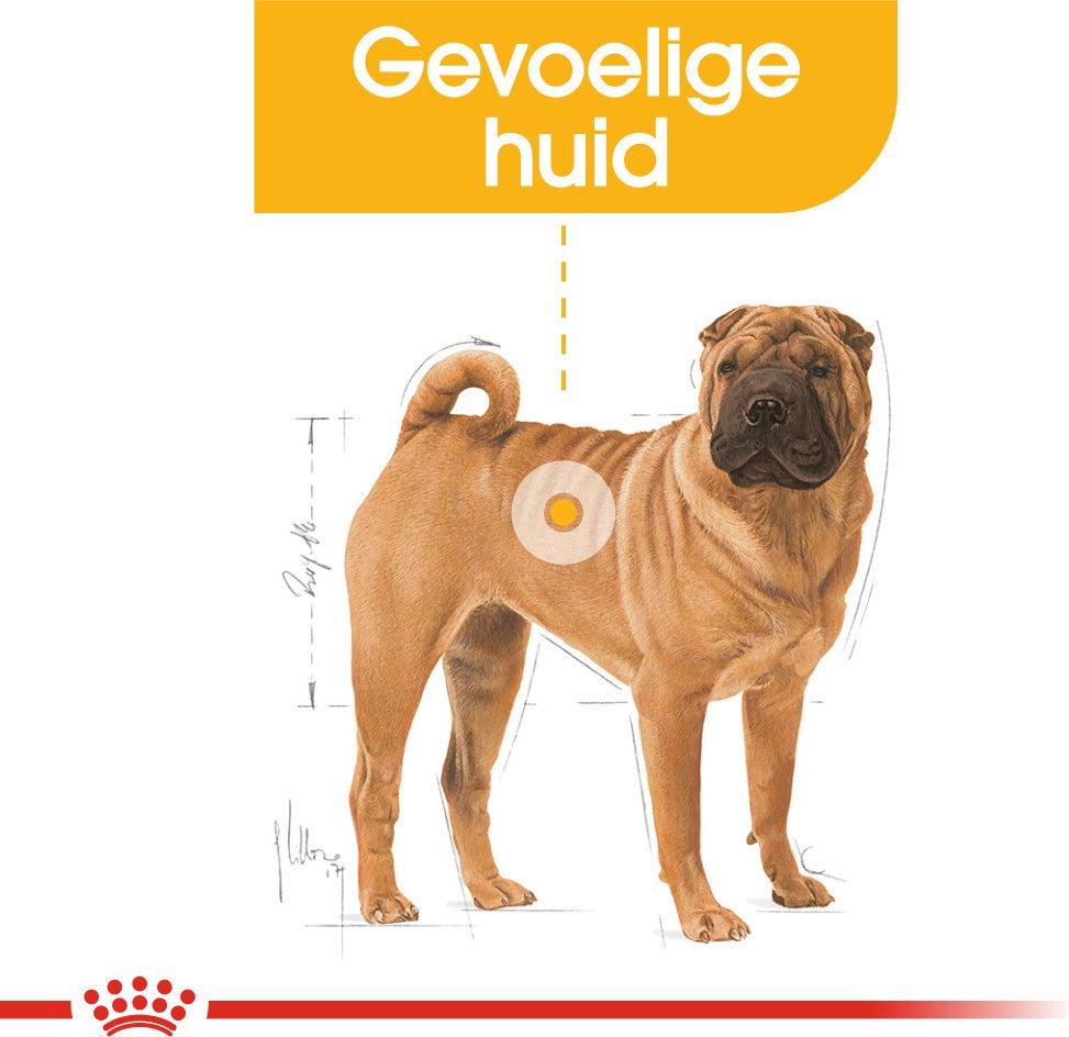 Royal Canin hondenvoer Dermacomfort Medium 3 kg