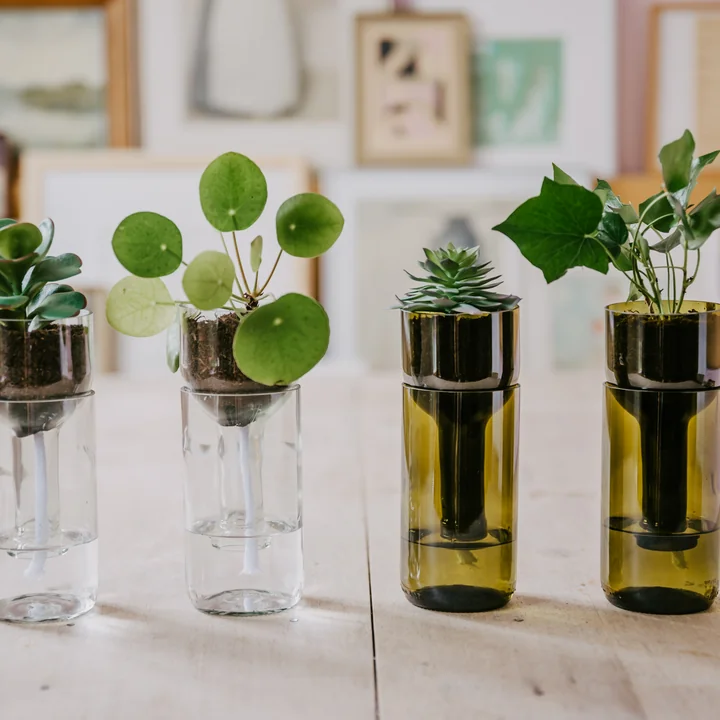 side by side - Self Watering Bottle Blumentopf, klarglas