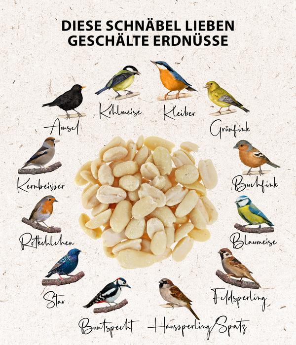 Dehner Natura Premium Wildvogelfutter