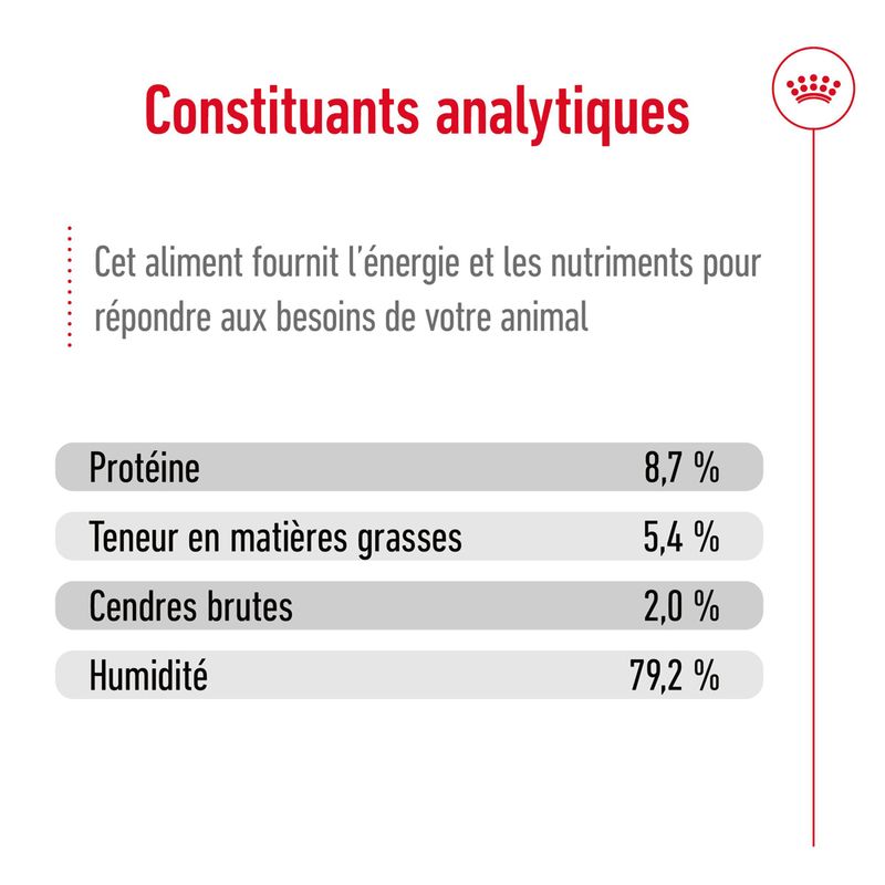 Royal Canin Maxi Adult Mousse
