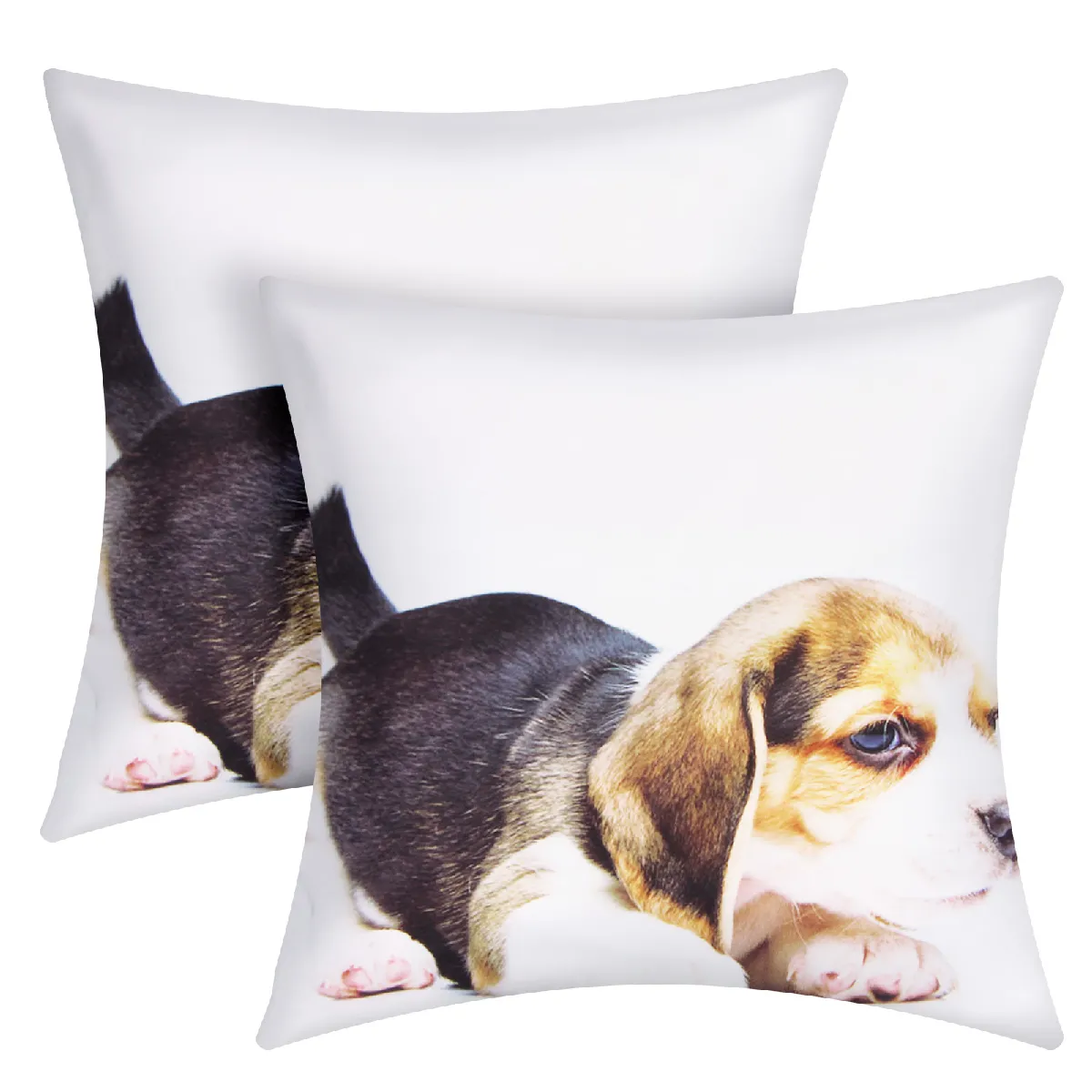 Avizar 40x40 cm - Motif Beagle
