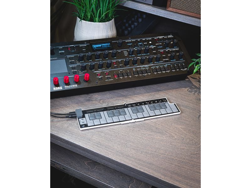 Korg Keyboard Controller nanoKEY Fold Alpine Green Limited Faltbares Mini-MIDI-Keyboard