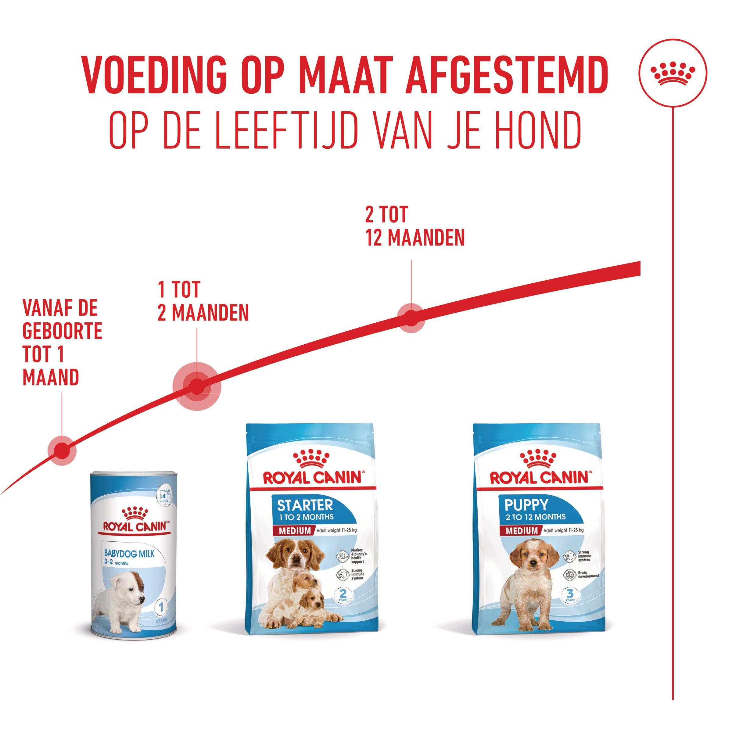 Royal Canin Medium Starter Mother & Babydog - Hondenvoer