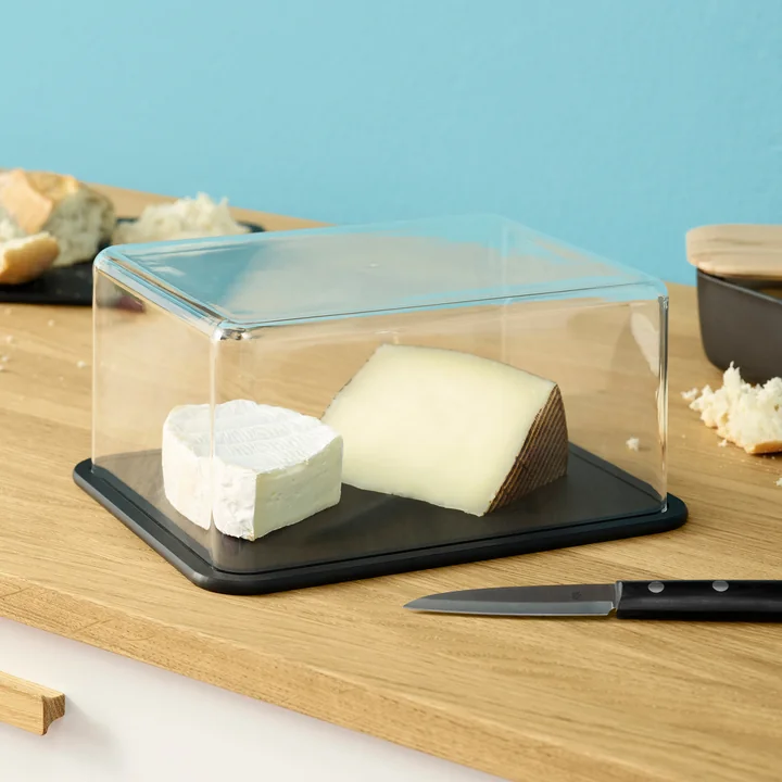 Rig-Tig by Stelton - Contain-It Käsebox, schwarz