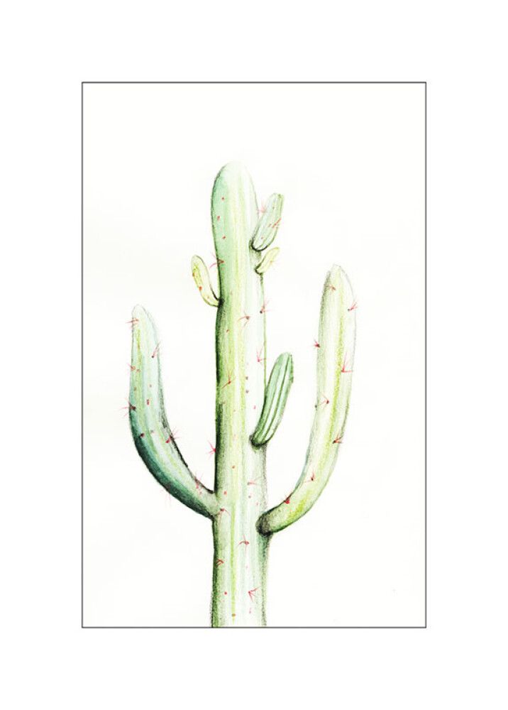POSTER KOMARSAGUARO WATERCOLOR 50 X 70 CM