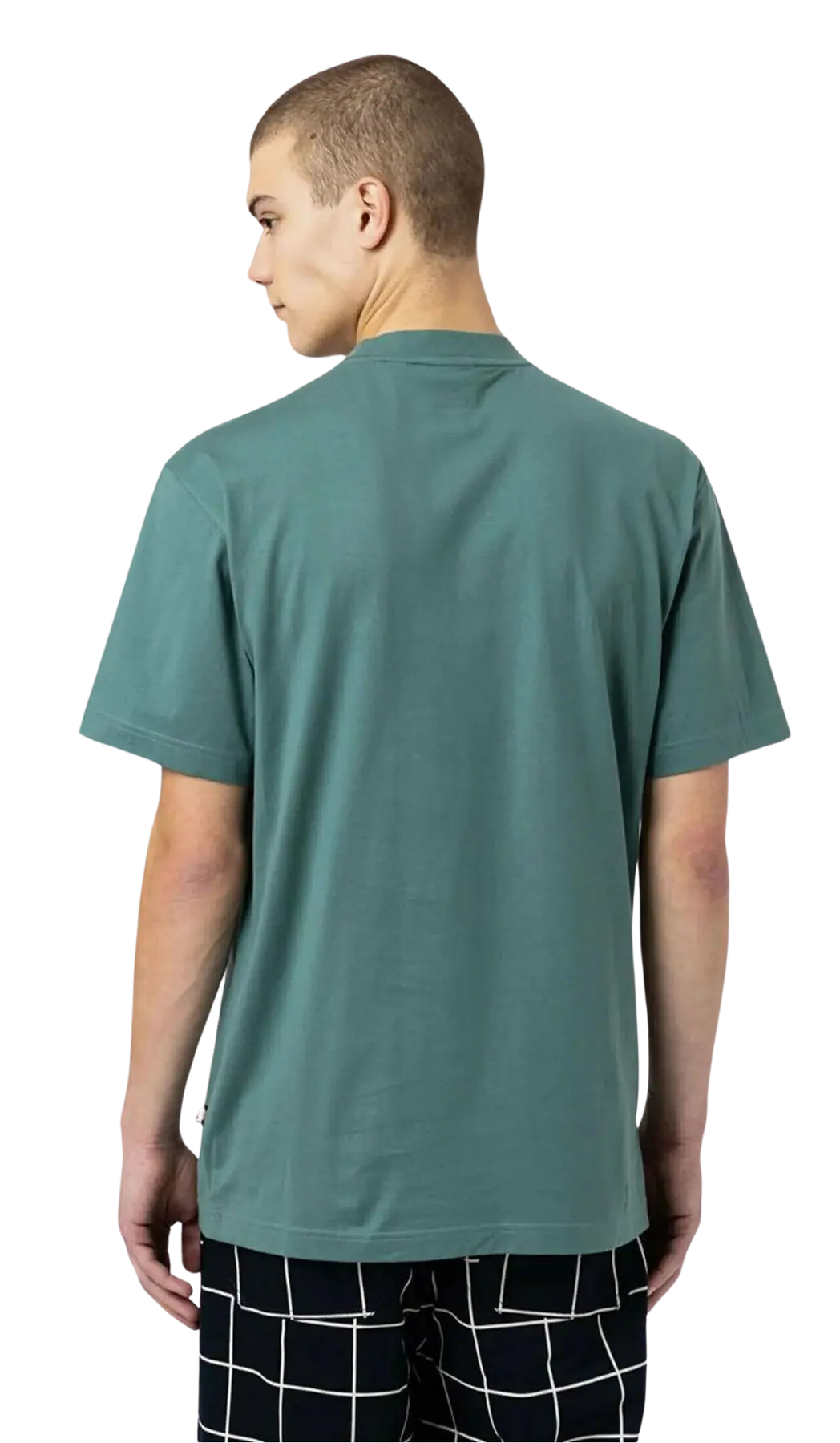 Dickies Mount Vista T-Shirt | SkatePro