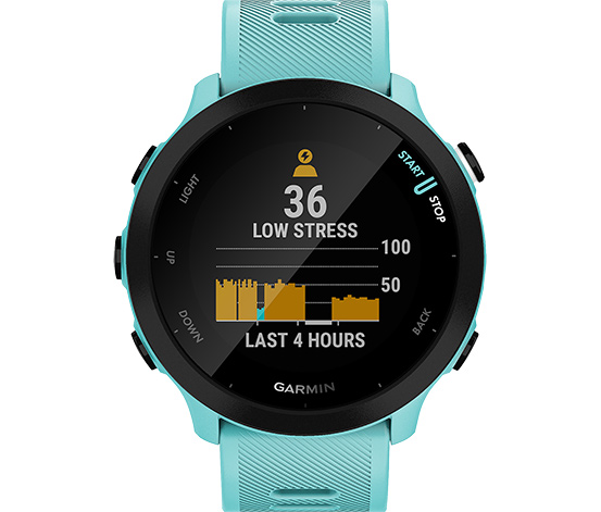 GARMIN »Forerunner® 55«, türkis