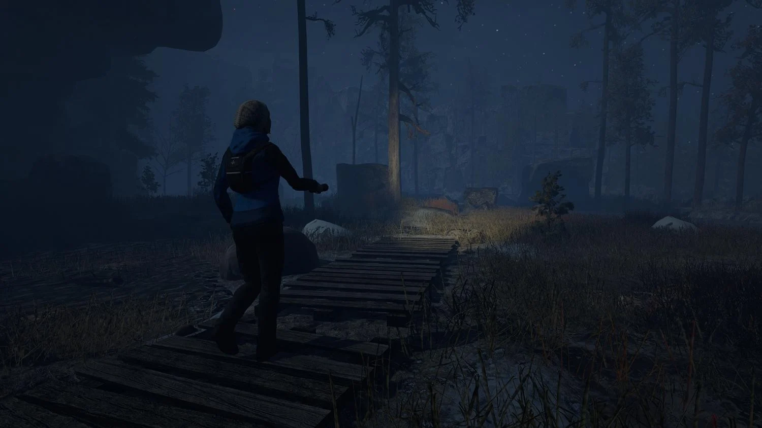 Through the Woods- PC