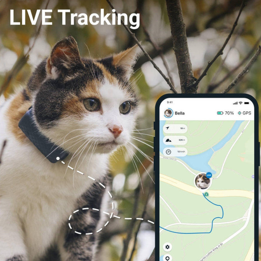 Rastreador GPS Tractive para Gatos