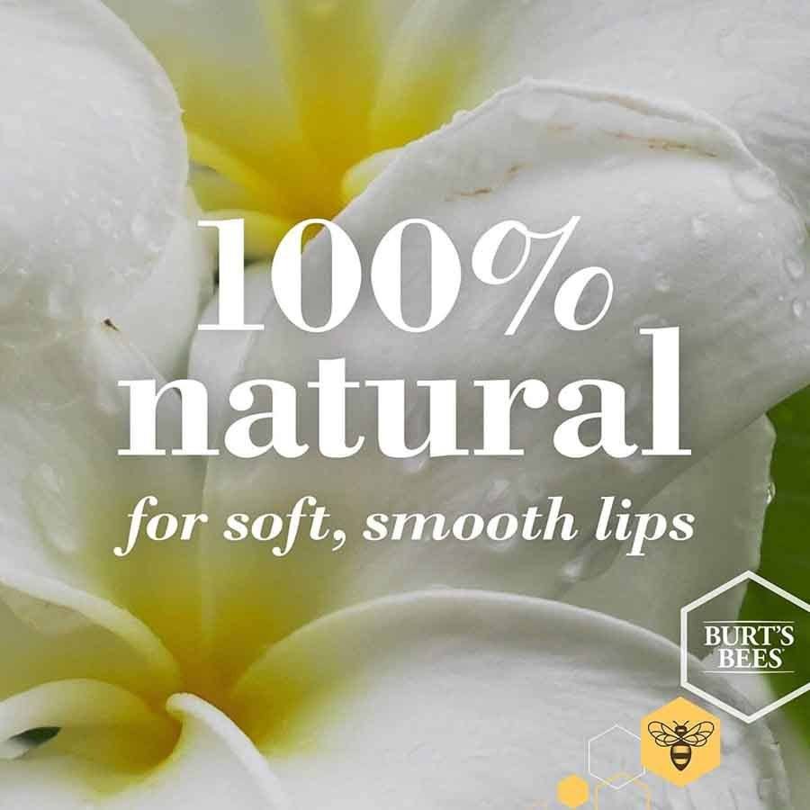 Burt's Bees Lip Balm Vanilla Bean 4,25g