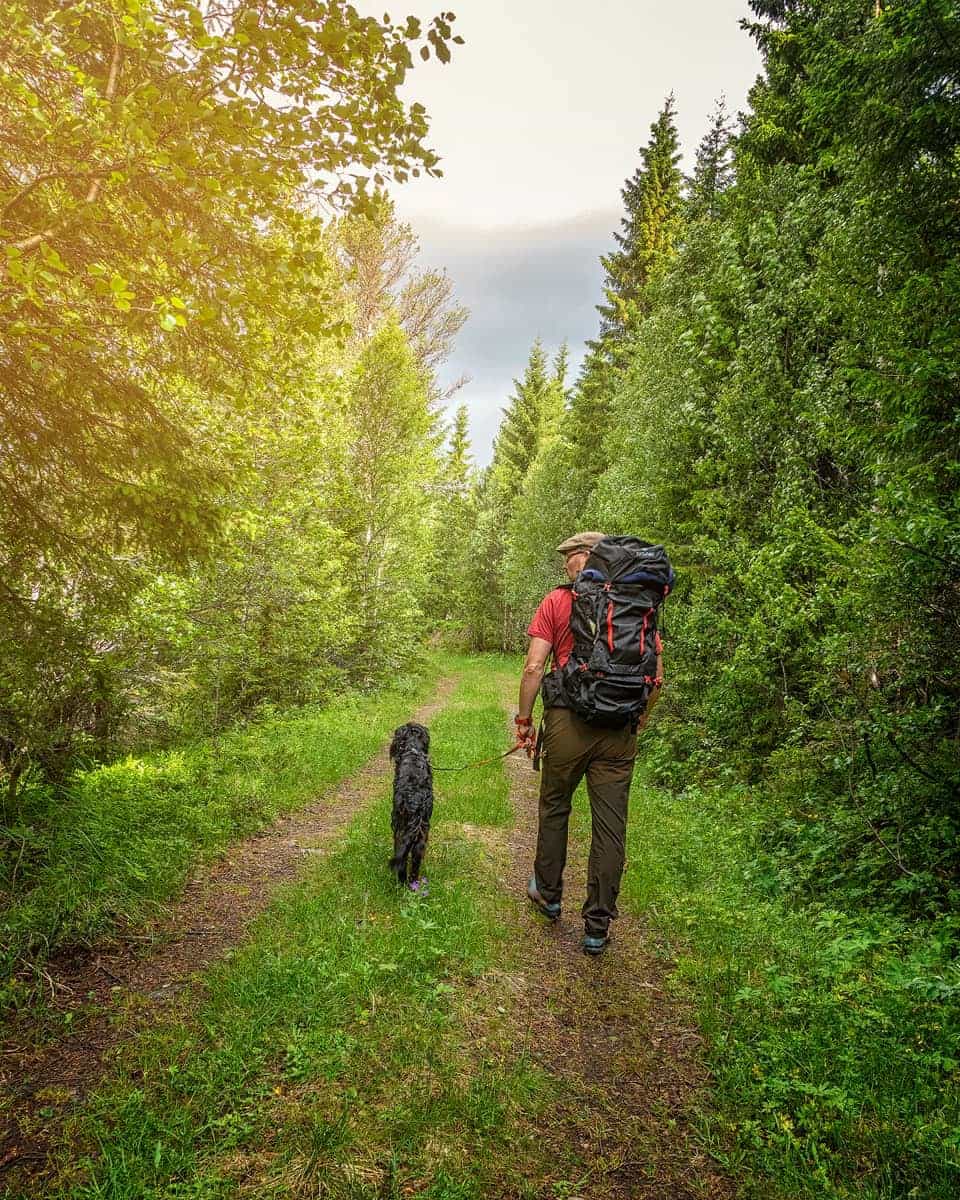 Sydvang Montana Hiking Pack 65L Black