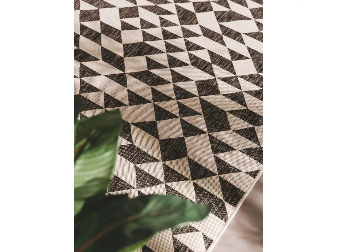 Tapis d'extérieur & intérieur Cleo Noir 200x300 cm