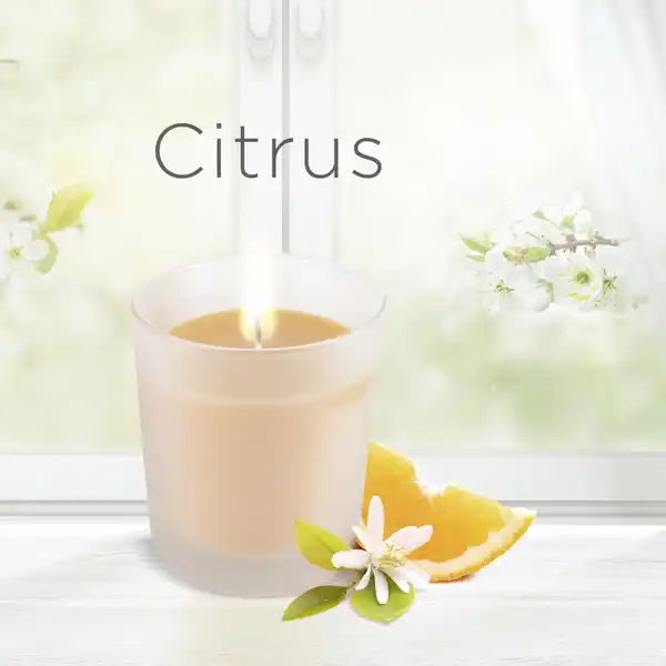 Wohlfühl-Duftkerze Citrus