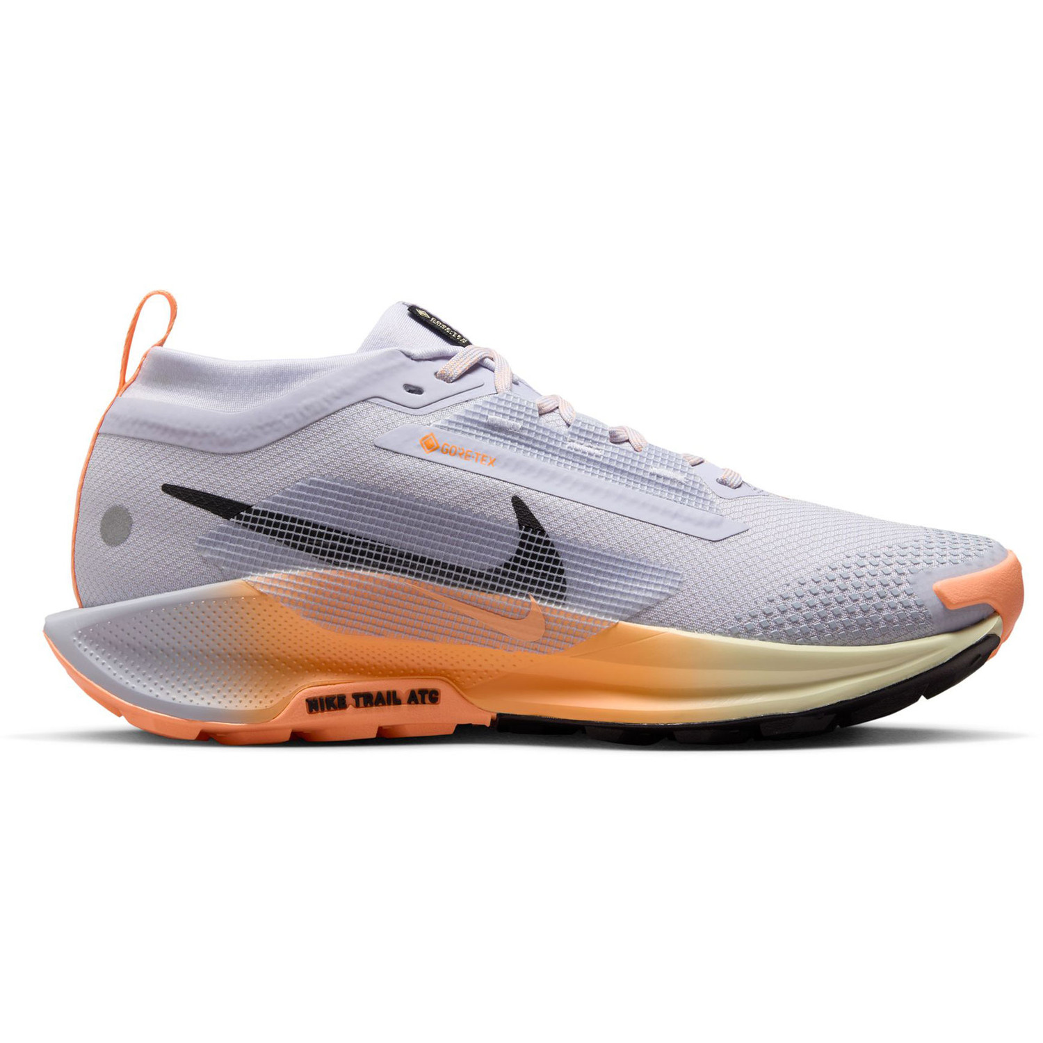 Nike Pegasus Trail 5 GTX Dames