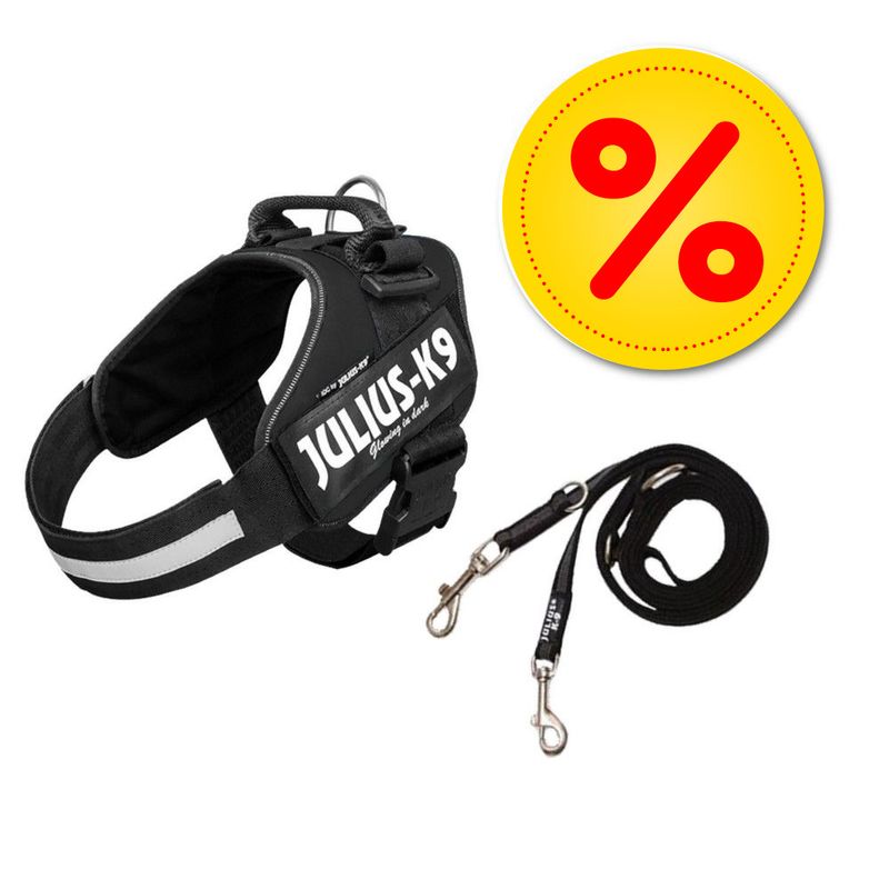Lot Julius-K9 : harnais + laisse double coutchoutée