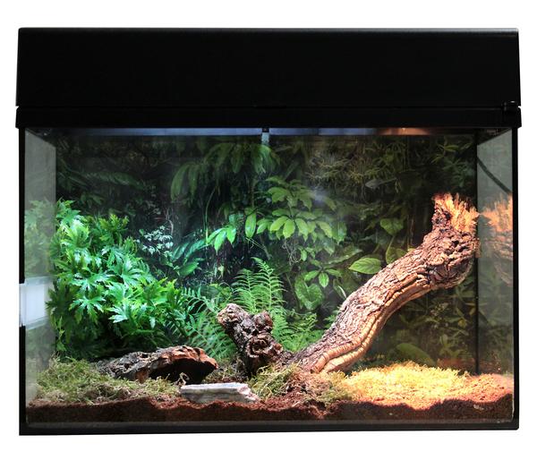 Lucky Reptile Starter Kit Komplettset