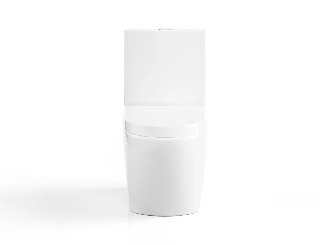 WC à poser blanc brillant en céramique - Evacuation verticale - NAGILAM