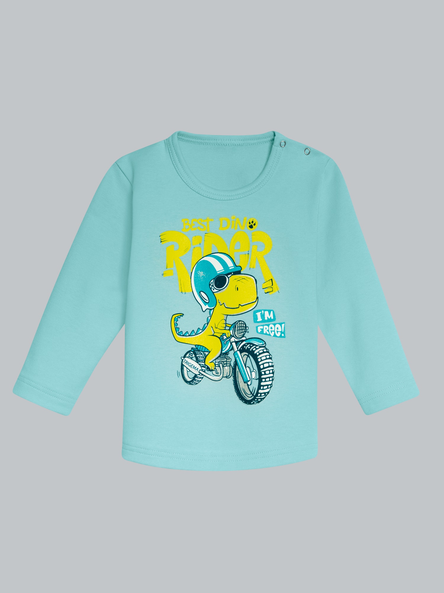 Langarmshirt mit großem Dino-Printmotiv Gletscher