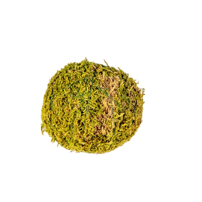 Deko Mooskugel - ca. 8 cm