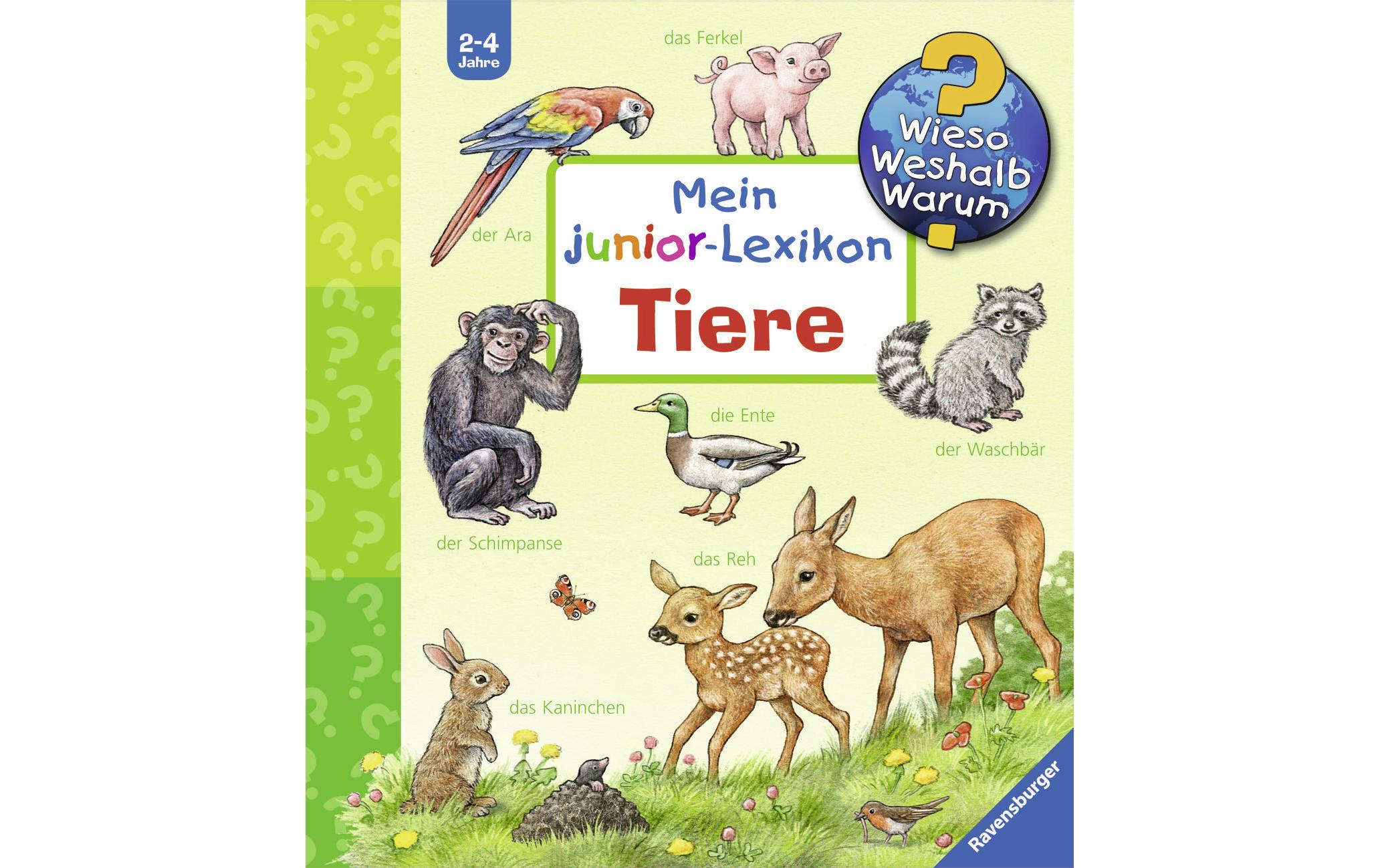 Kinder-Sachbuch WWW Mein junior-Lexikon: TiereKlappbuch