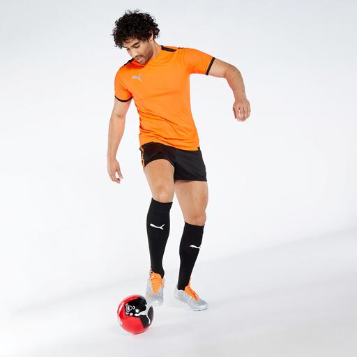 Liga de Equipes Puma