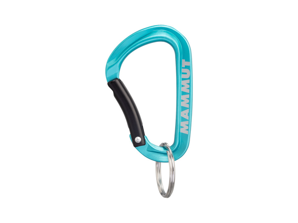 Mini Carabiner Classic Keylock S