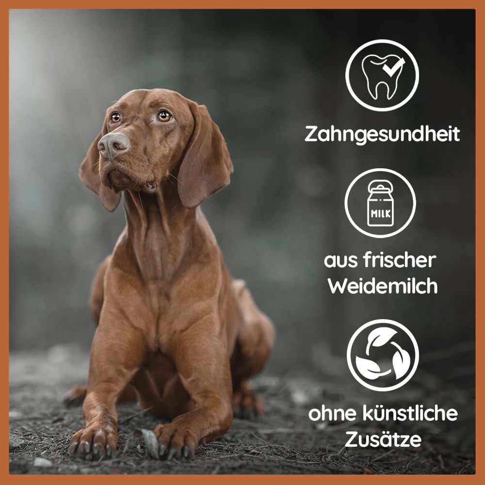 WILDFANG® Kaustab aus Hartkäse