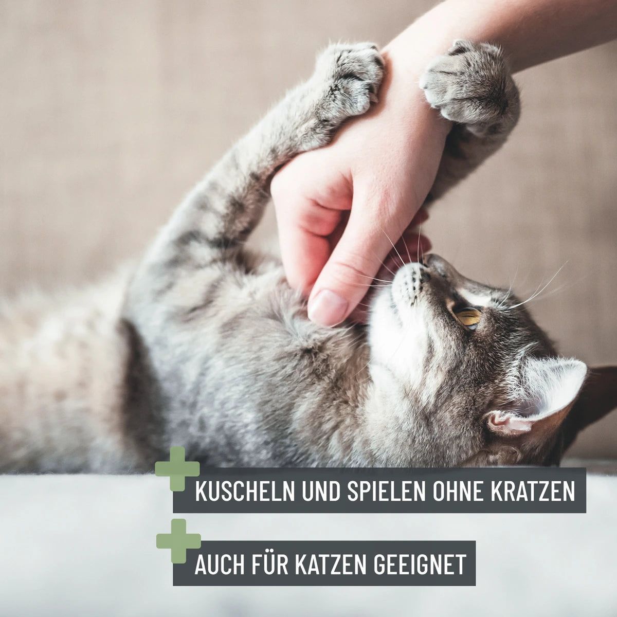 Krallenschere S-XL - ReaVET