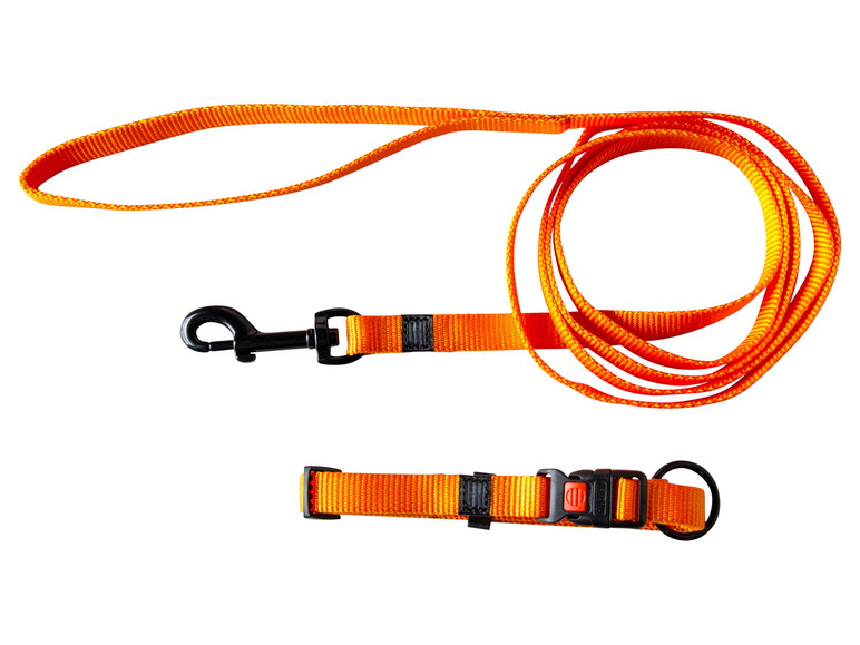 Halsband met lijn