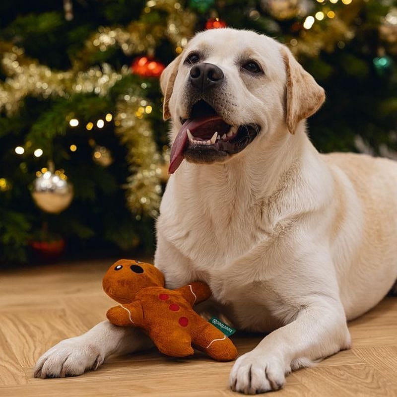 Beeztees Kerst Gingerbread Pluche Hond | 20214
