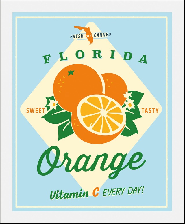 queence Bild »Florida Orange« Abstrakt | Essen | Figuren | Kunst | Lebensmittel | Obst | Obst Bilder | Schriftzug 1 Stk. tlg. gerahmt