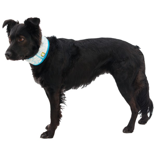 Ruffwear - Swamp Cooler Neck Gaiter - Accessoire pour chien