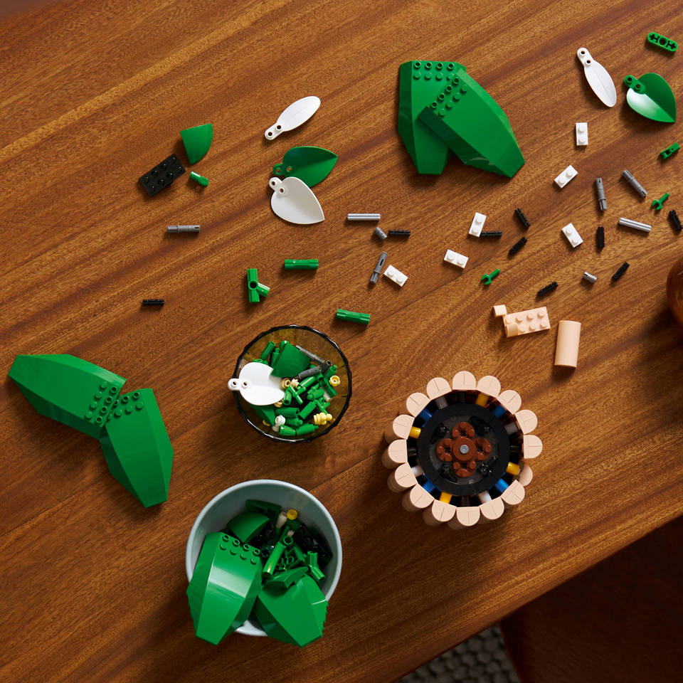 LEGO Botanicals lepelplant 11504