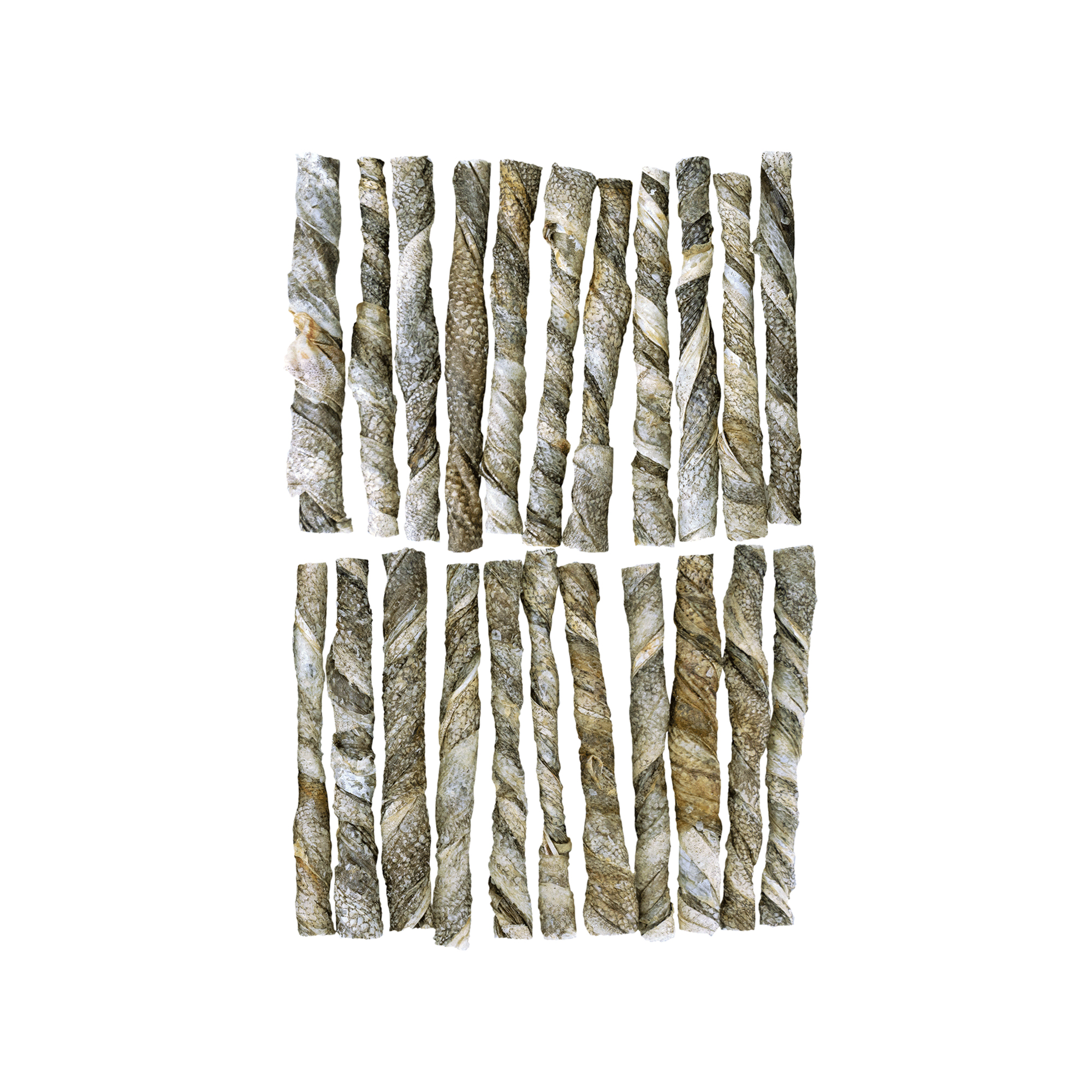 Braaaf Vissnack Zalm Rol