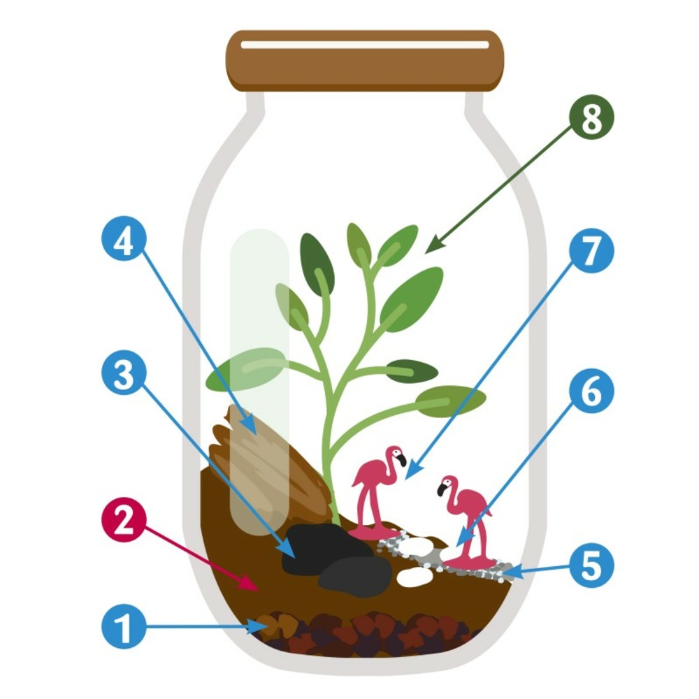 Terrarium à assembler soi-même avec graines d'asparagus à semer