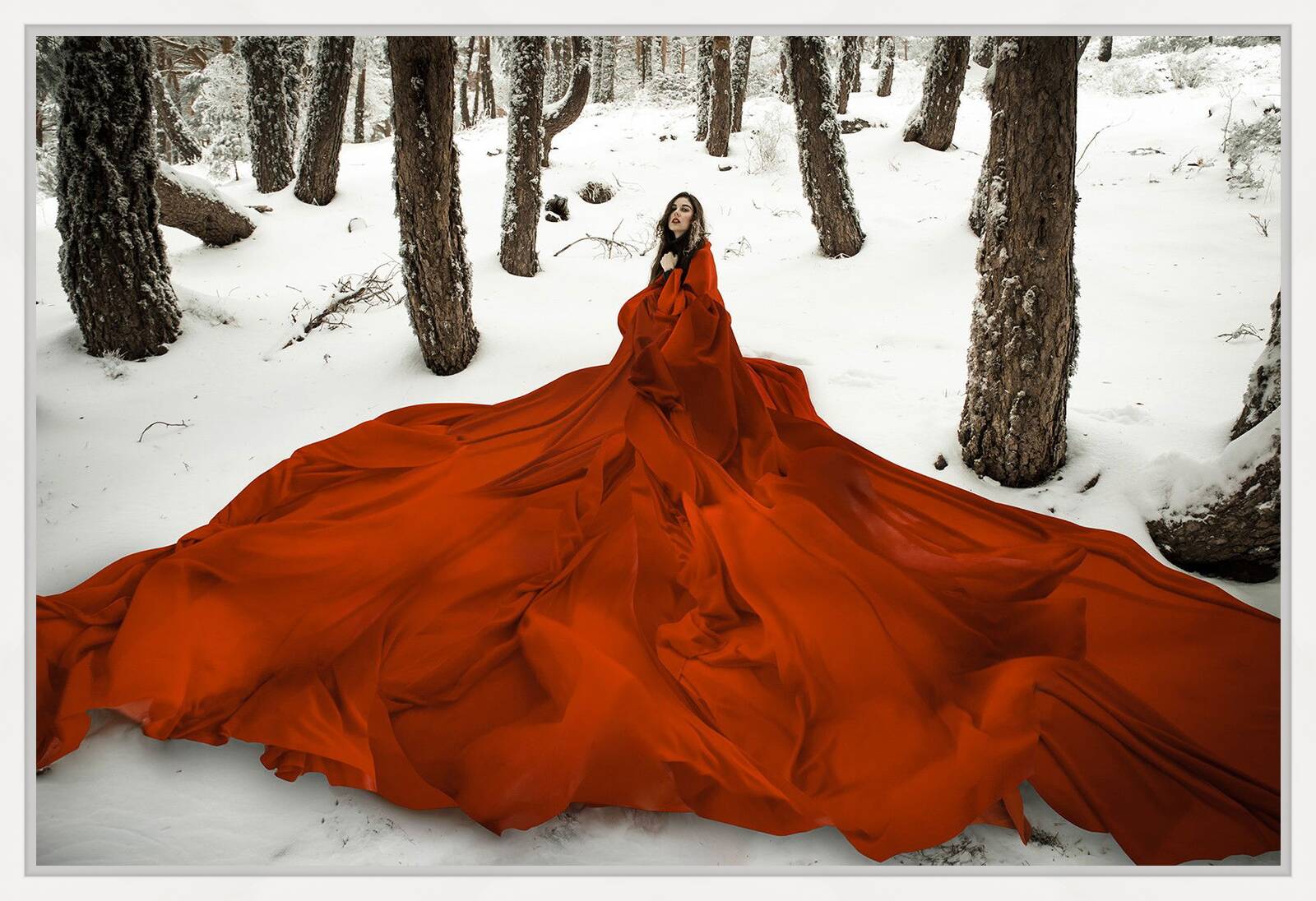 Blood Mineral by Leila Amat Ortega - Limited Edition. Edition of: 150. Signed.