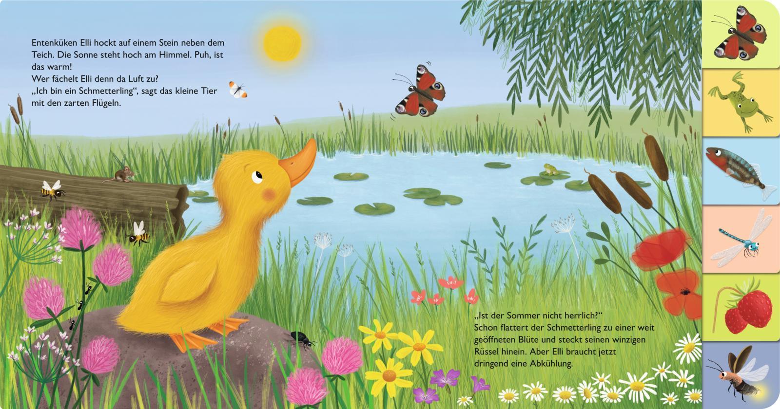 Mein erstes Jahreszeitenbuch: Elli, die kleine Ente