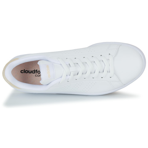 Adidas Sportswear - ADVANTAGE - Blanc / Beige