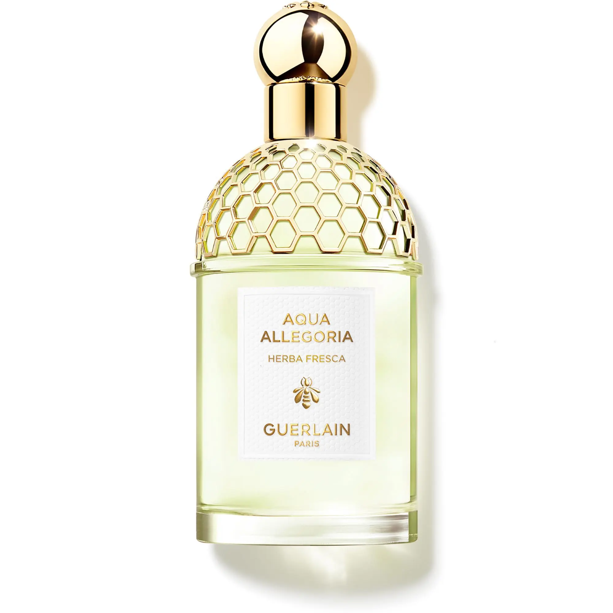 Guerlain - Aqua Allegoria Herba Fresca- Eau de toilette