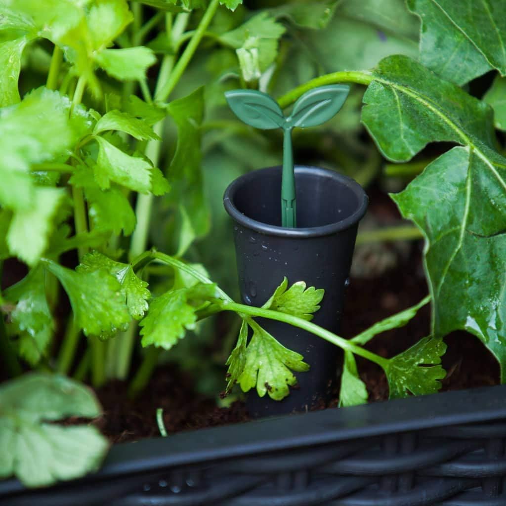 Keter Easy Grow modernes Hochbeet, grau, inkl. Bewässerungssystem, Rattanoptik, passend für Balkon, Terrasse oder Garten