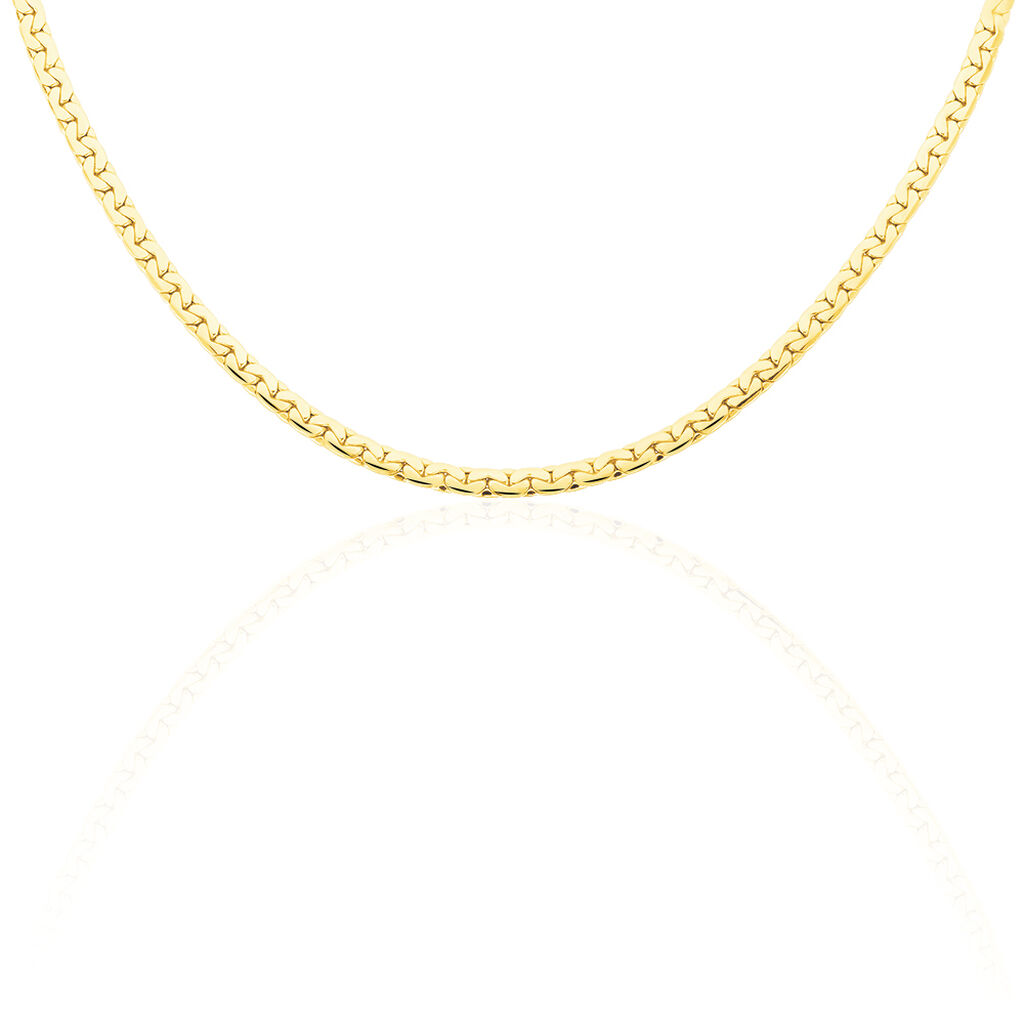 Collier Vannessa Maille Haricot  Or Jaune