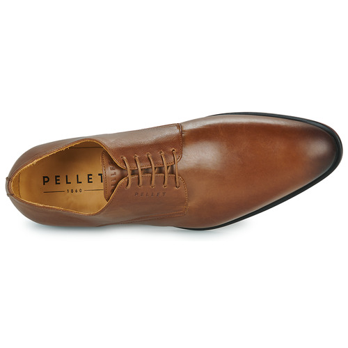 Pellet - ALIBI - VEAU BRANDY