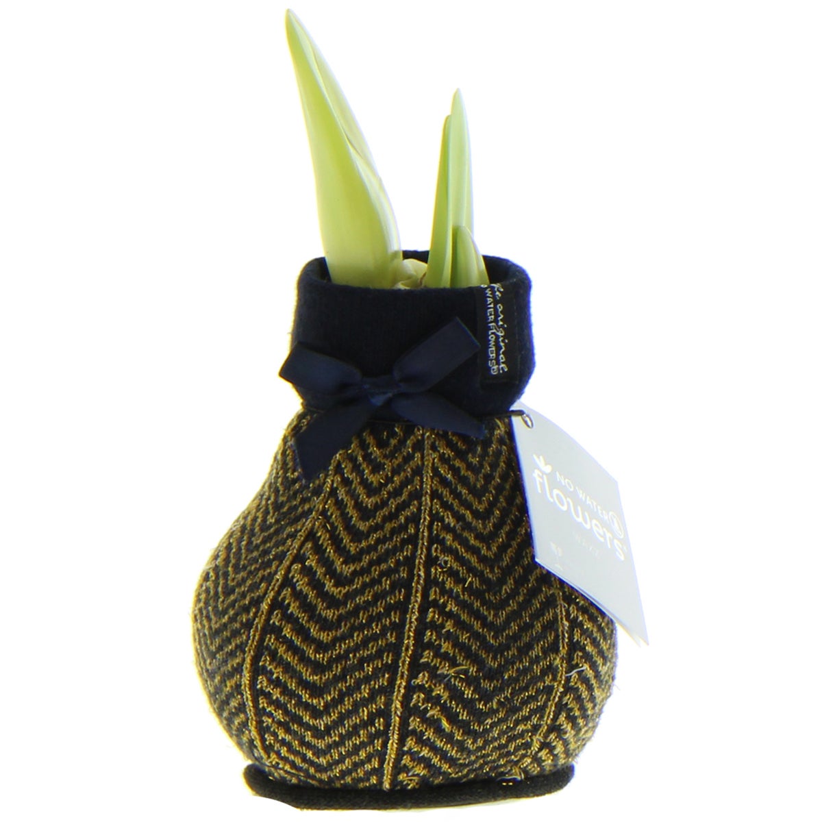 Amaryllisbol in wintersokken Mode Elegant goudpatroon