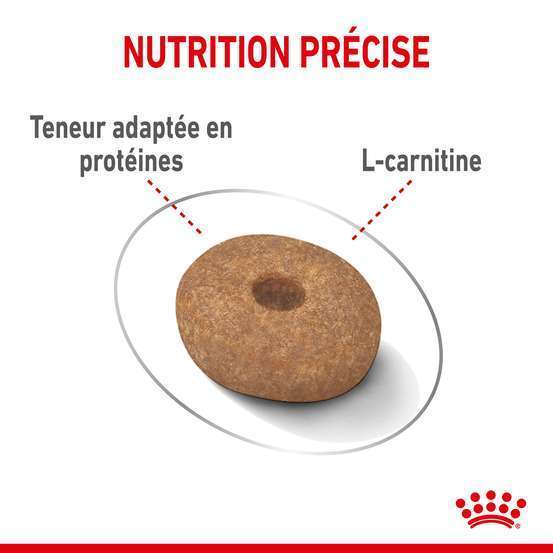 Croquettes petit chien en embompoint Light Weight Care 8kg