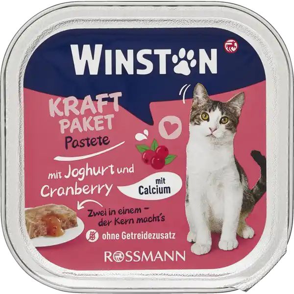 Kraftpaket mit Joghurt und Cranberry
